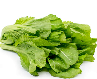 RAYO NABICA SAAG