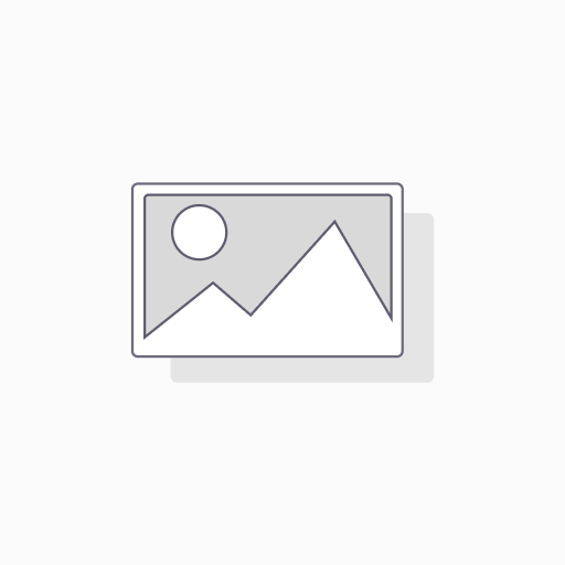 Miscellaneous Cost